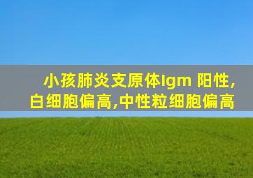 小孩肺炎支原体Igm 阳性, 白细胞偏高,中性粒细胞偏高